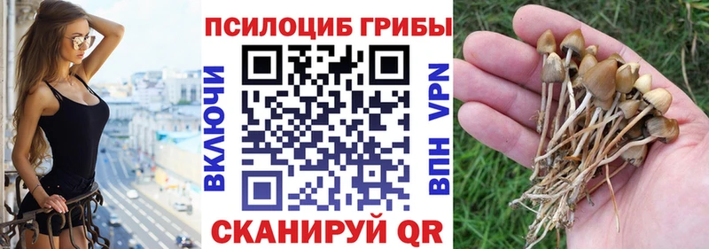 Псилоцибиновые грибы ЛСД  Спасск 